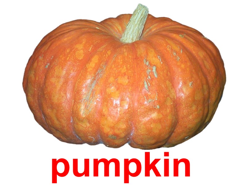pumpkin